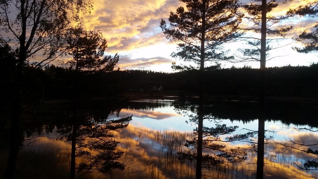 Bjorkeskogen Daire Mjavatn Dış mekan fotoğraf