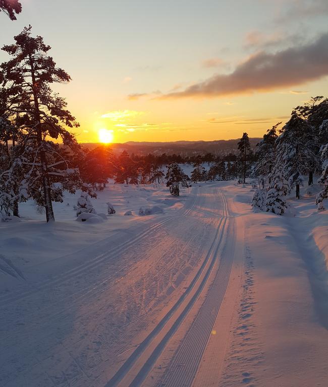 Bjorkeskogen Daire Mjavatn Dış mekan fotoğraf